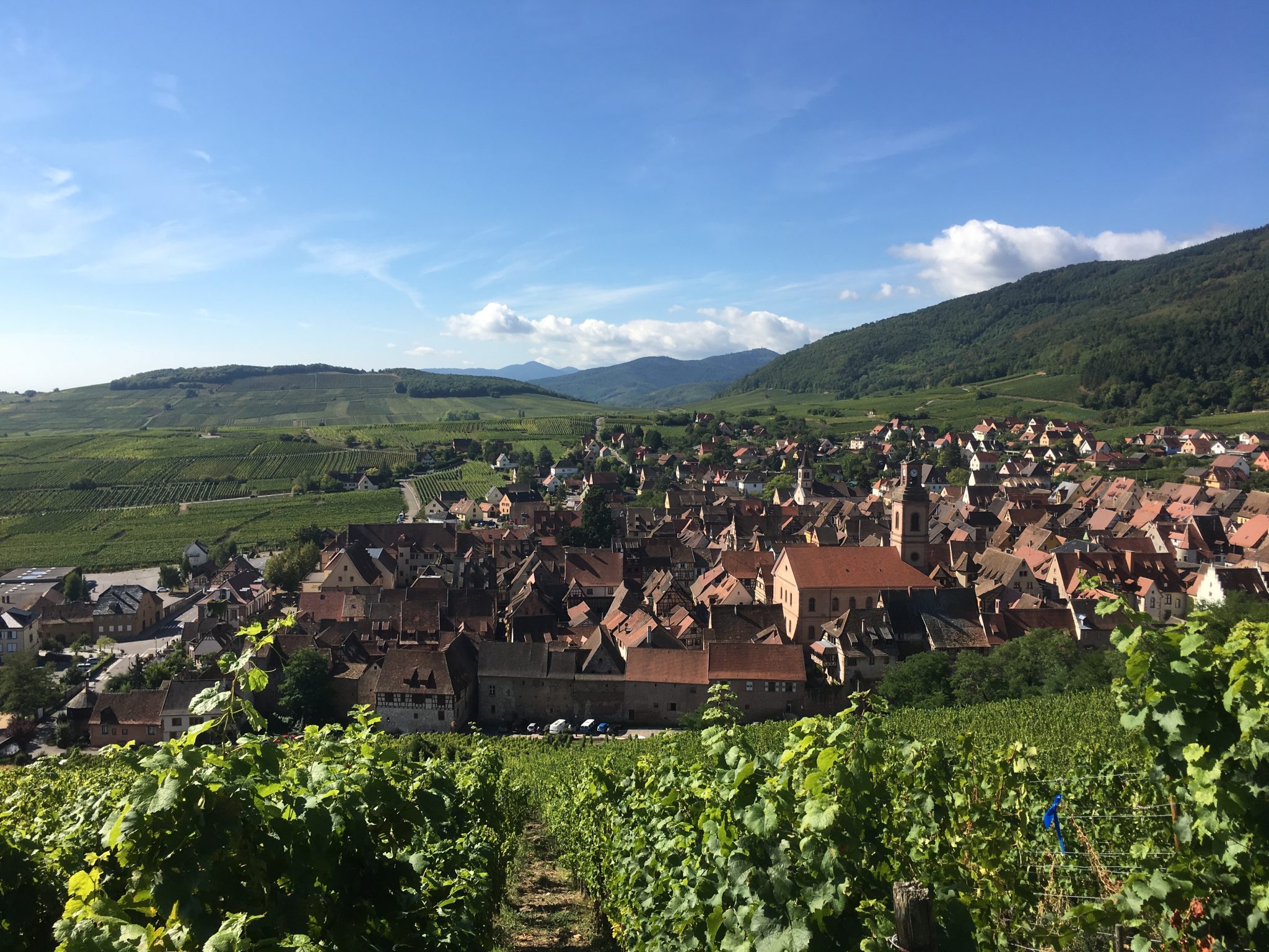 Residenze Laterali - Riquewihr